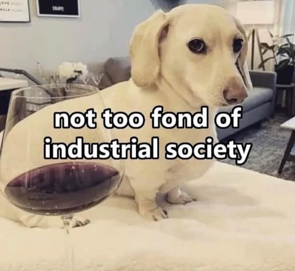 it would be better to dump the whole stinking system and take the consequences