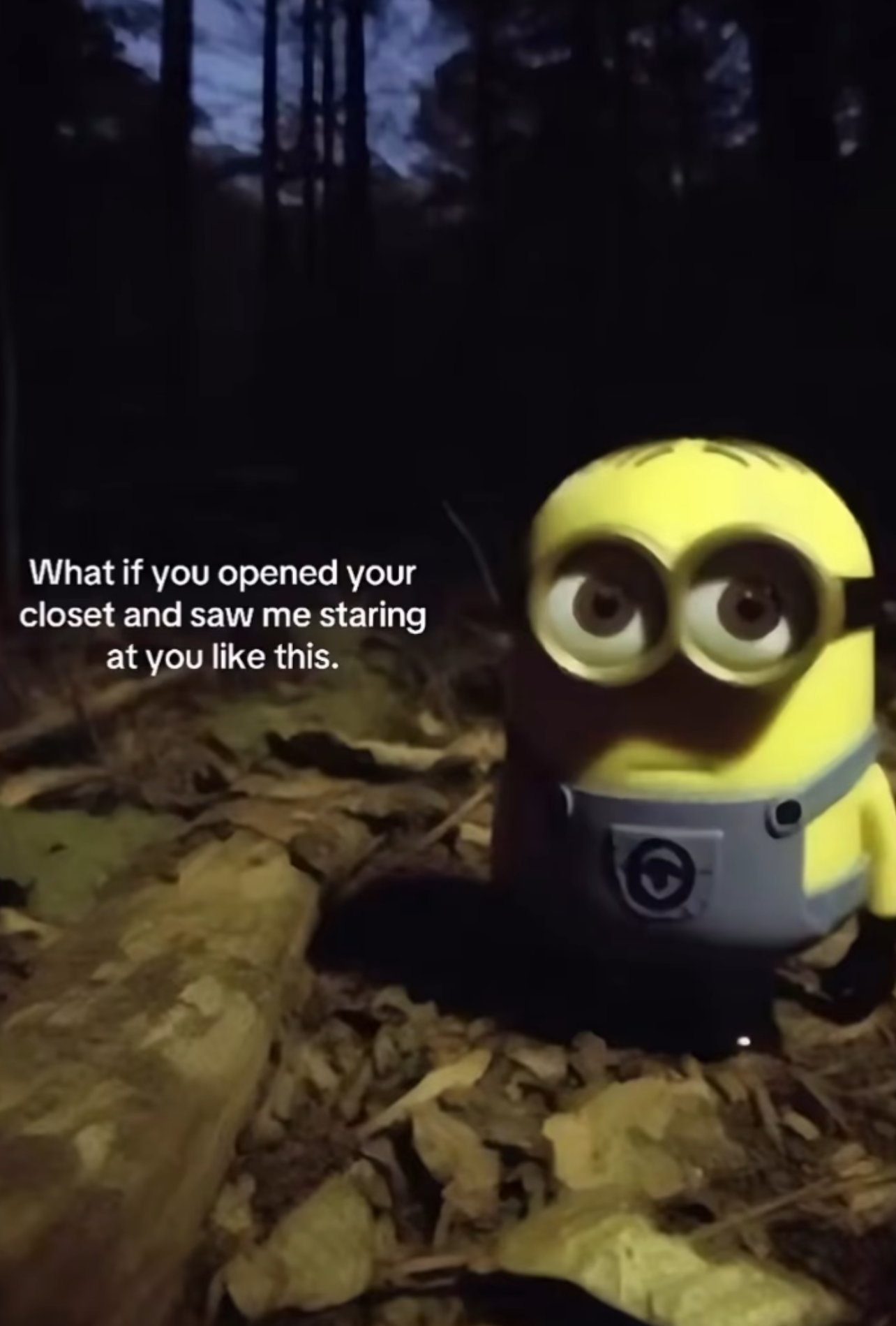 minion, plz