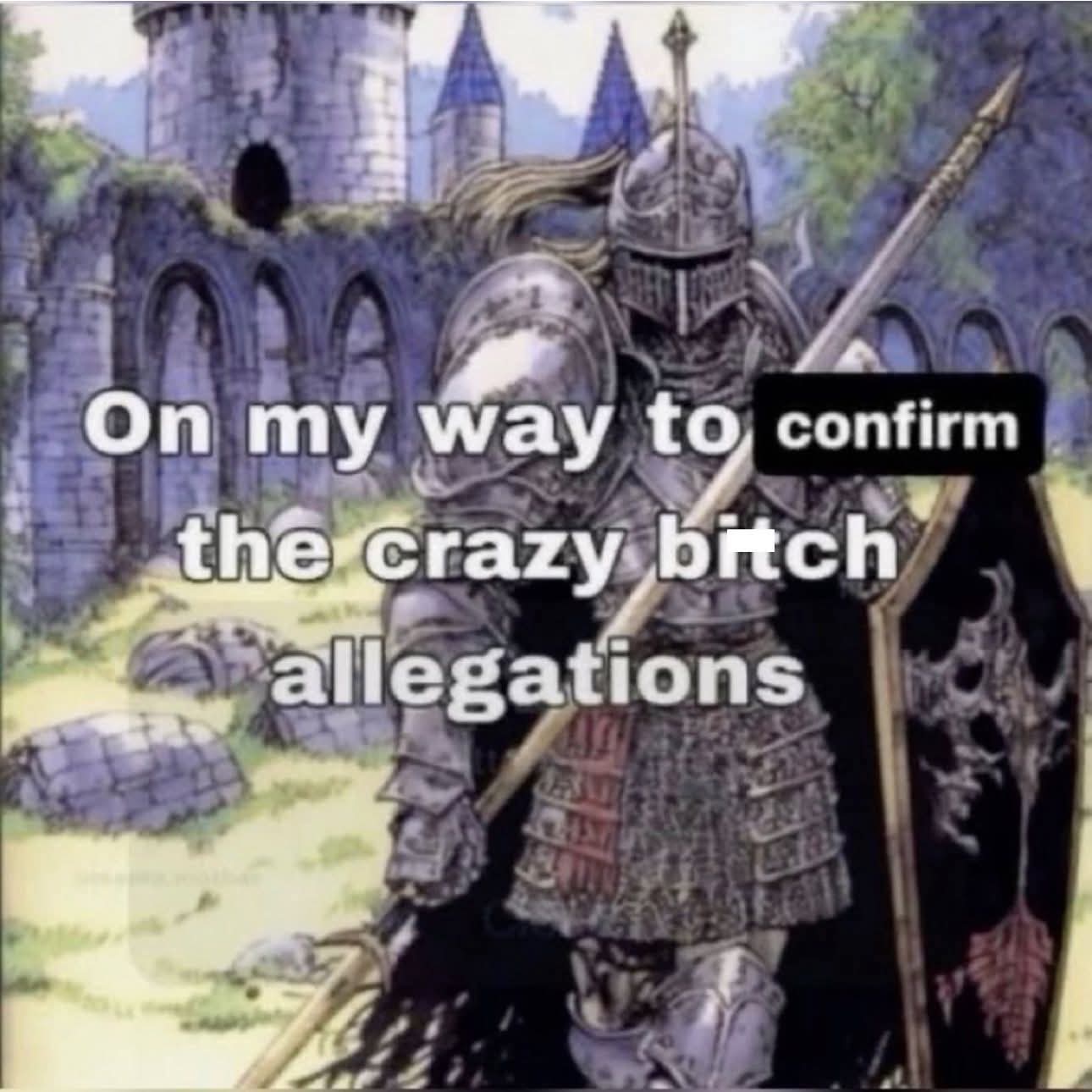 crazy bitch allegations