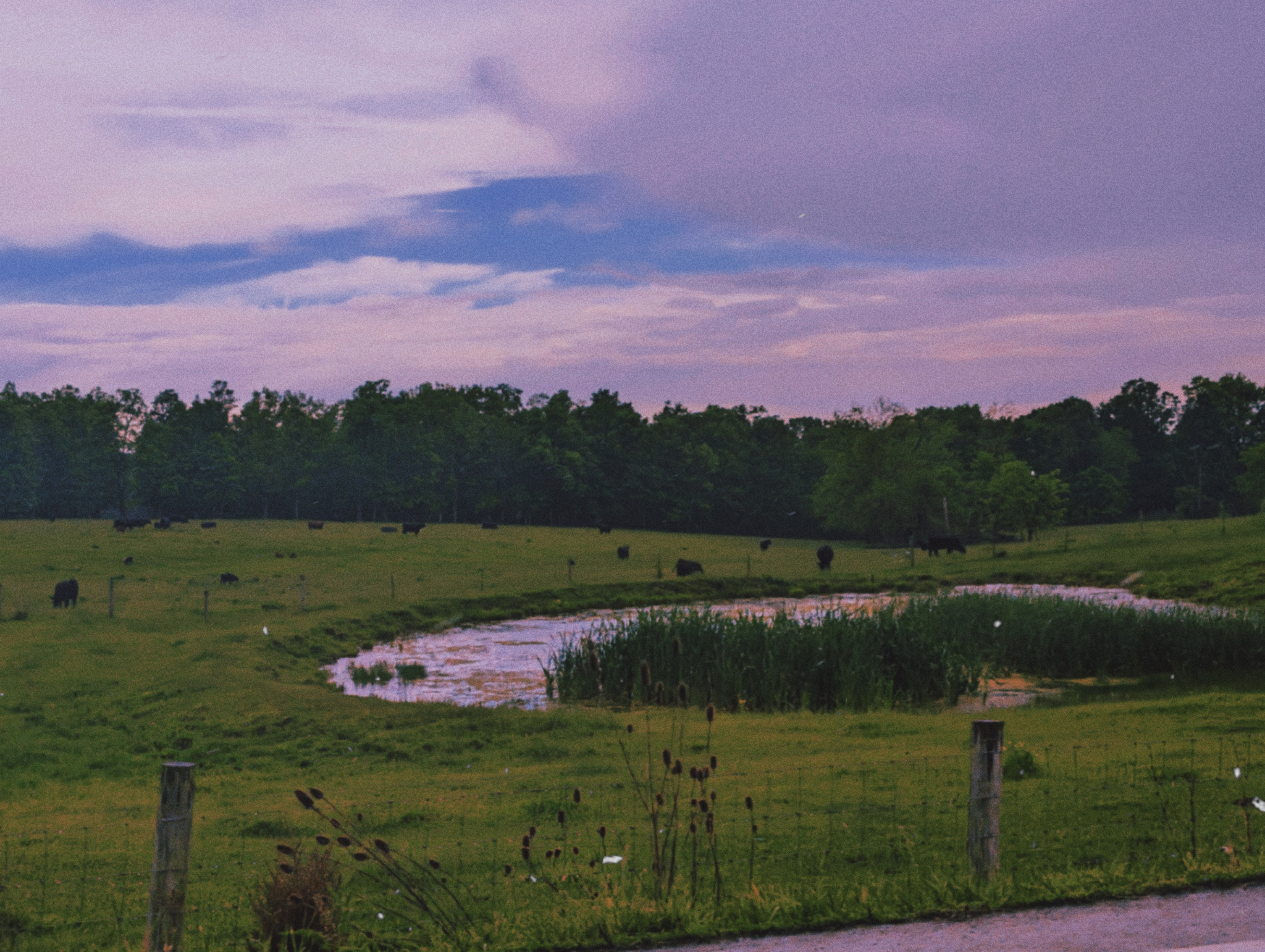 caitcoop photography