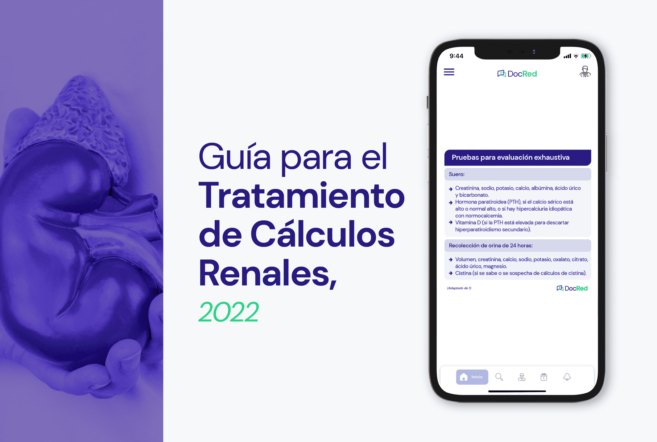c�lculos renales de calcio