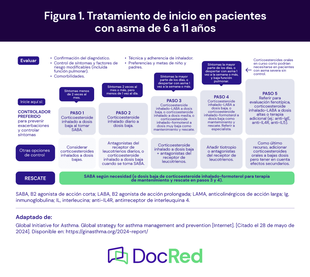 Nuevas recomendaciones en el tratamiento del asma: guías GINA 2024 - Docred
