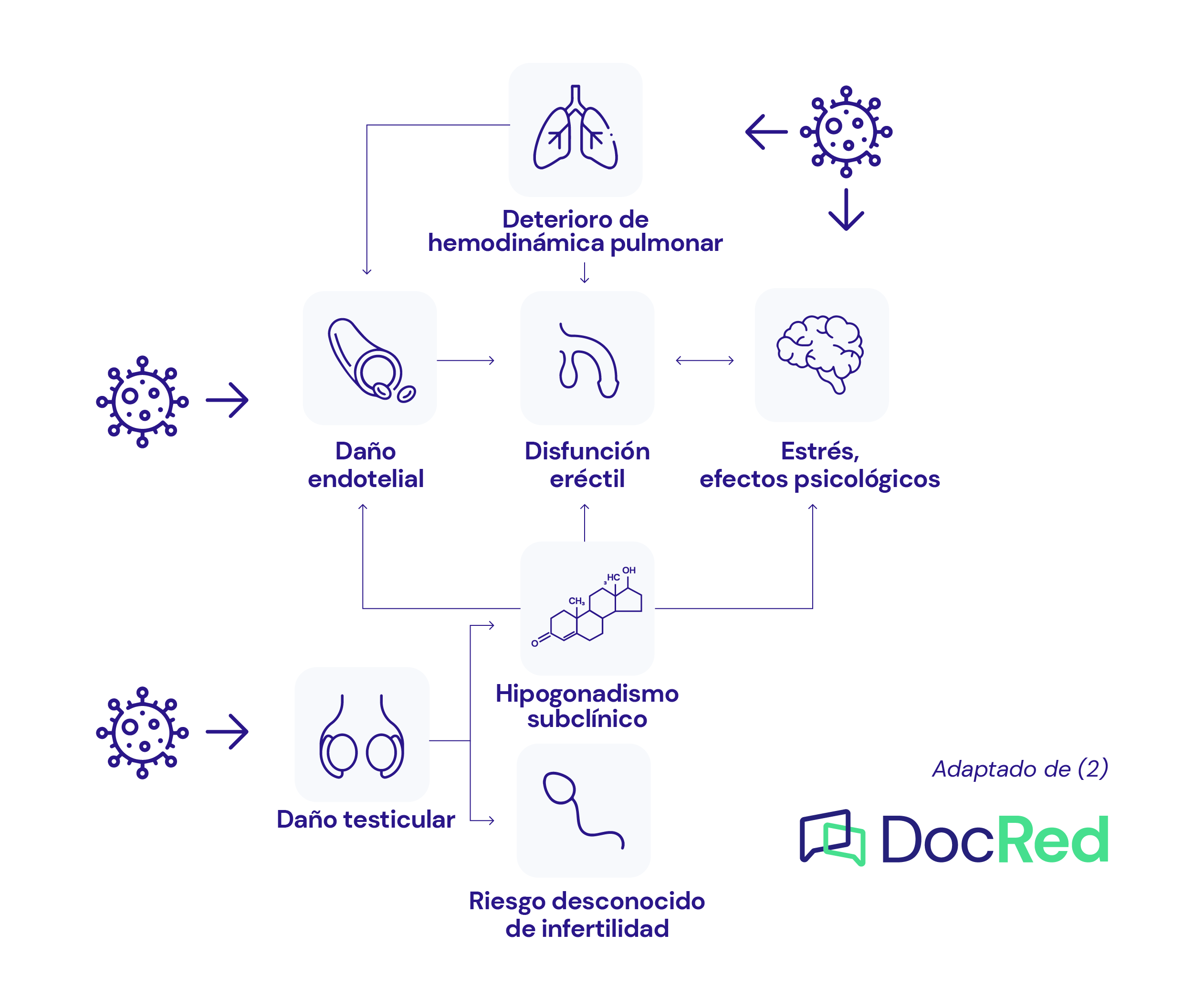 ベータ遮断薬の副作用勃起不全