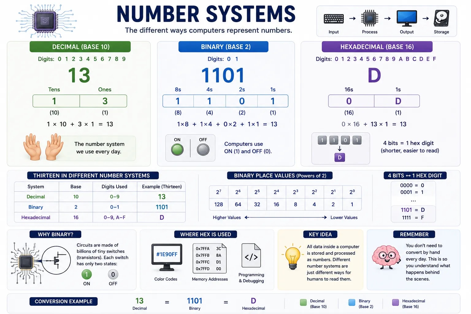 decimal, binary, আর hexadecimal number system ব্যাখ্যা করা একটা infographic, ১৩ সংখ্যাটি প্রতিটিতে কীভাবে দেখানো হয় তা সহ — 13, 1101, আর D