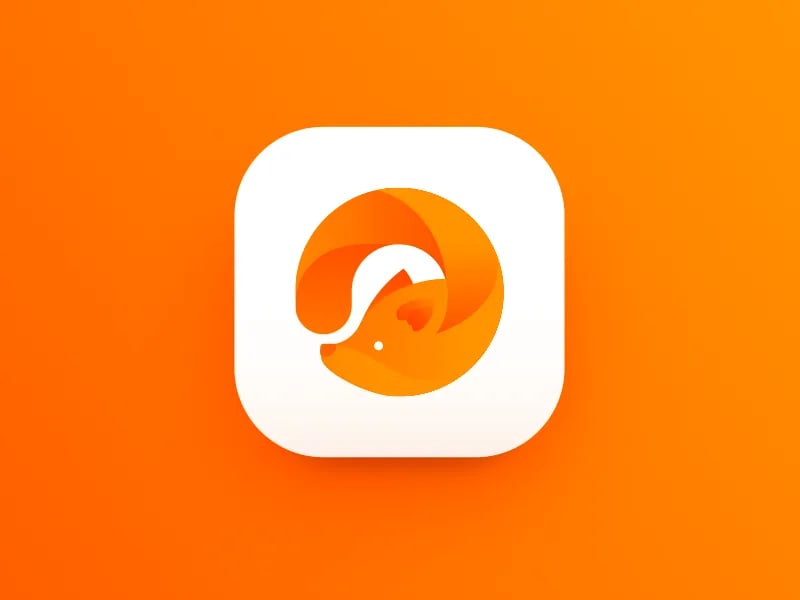 Orange Color