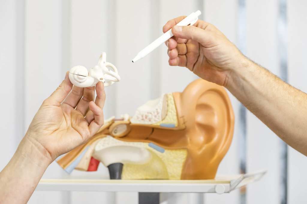 Dissertation christina schrder 08 image