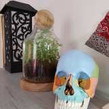 osteopathe a saint nicolas de port 54210 rendez vous par internet sous 24h doctolib