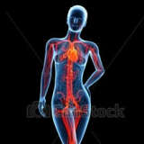 Dr BLAIN, Angiologue à Nantes