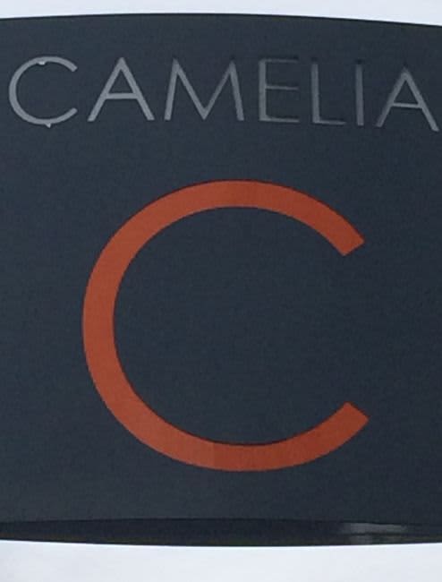 Dentiste Bordeaux Nord : 3395 Heures De Formation Réalisées Par La Dentego School.