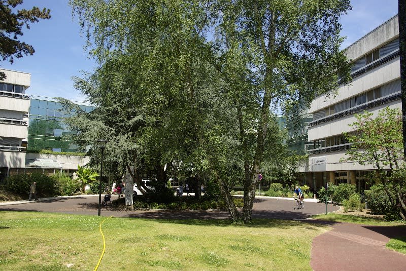 Hopital De La Porte Verte Versailles Avis