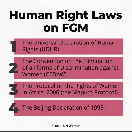 Graphic on FGM laws (1)