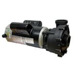 LX 230V 3HP Hot Tub Pump, 48F