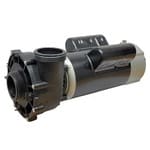 LX 230V 3HP Hot Tub Pump, 48F