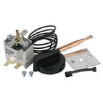 Hayward IDXTST1930 - Thermostat Id100