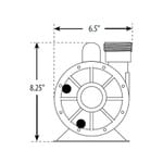 Waterway Iron Might 230 volts