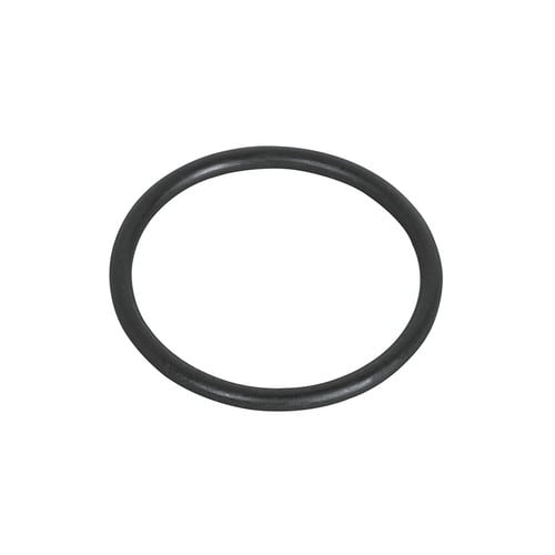 Waterway Executive hot tub pump shaft seal o-ring