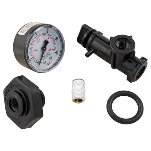 Pentair Valve and Gauge Assembly 24850-0105