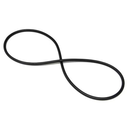 Pentair O-Ring PLM Cord Ring