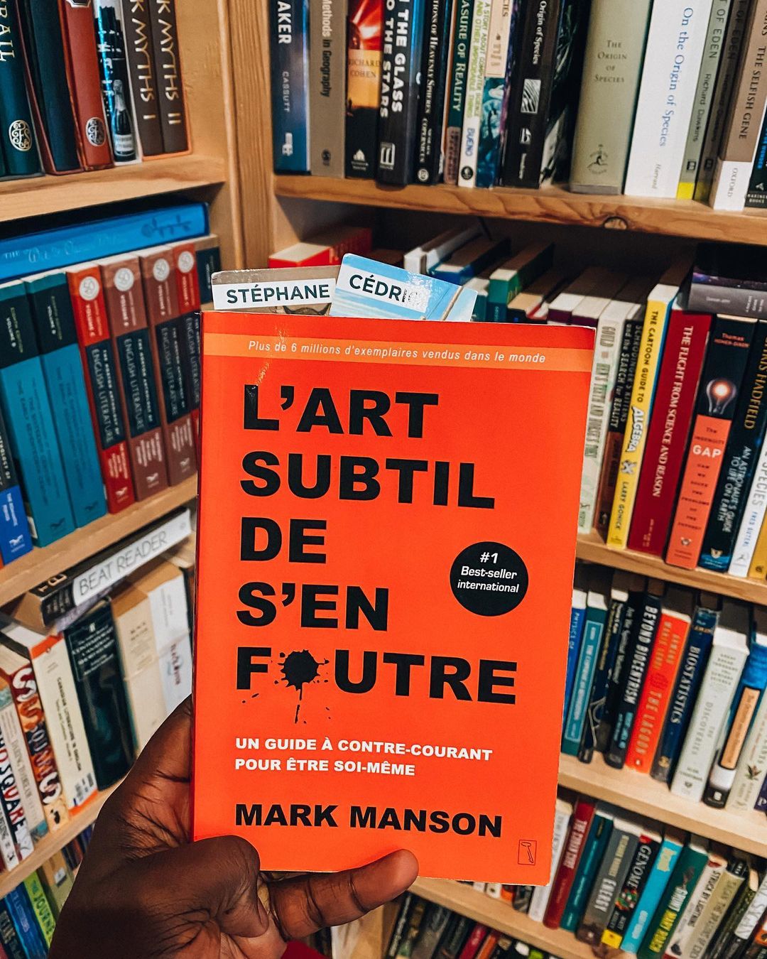 L'Art subtil de s'en foutre