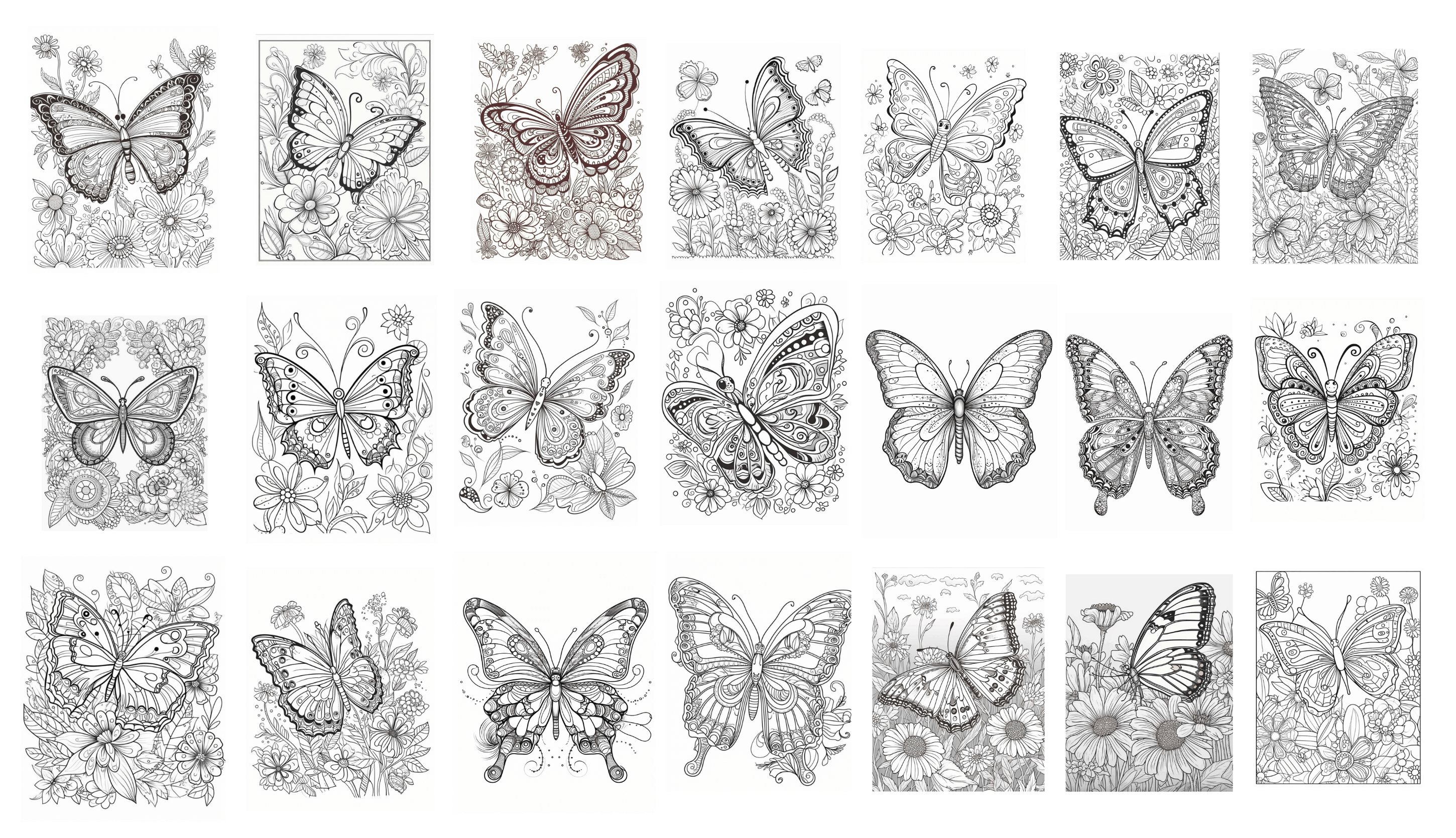 Butterfly Coloring