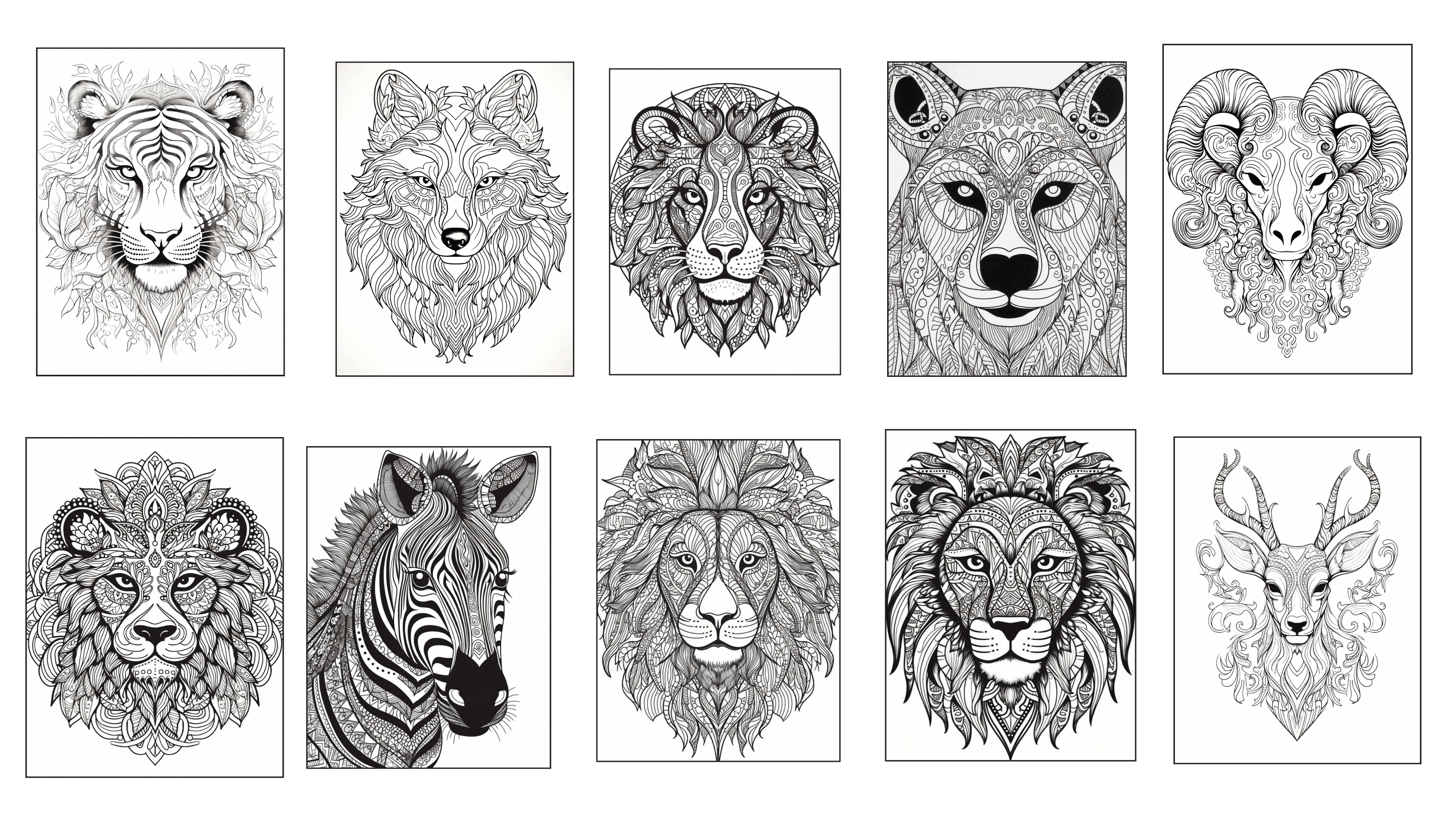 Animal_Mandala