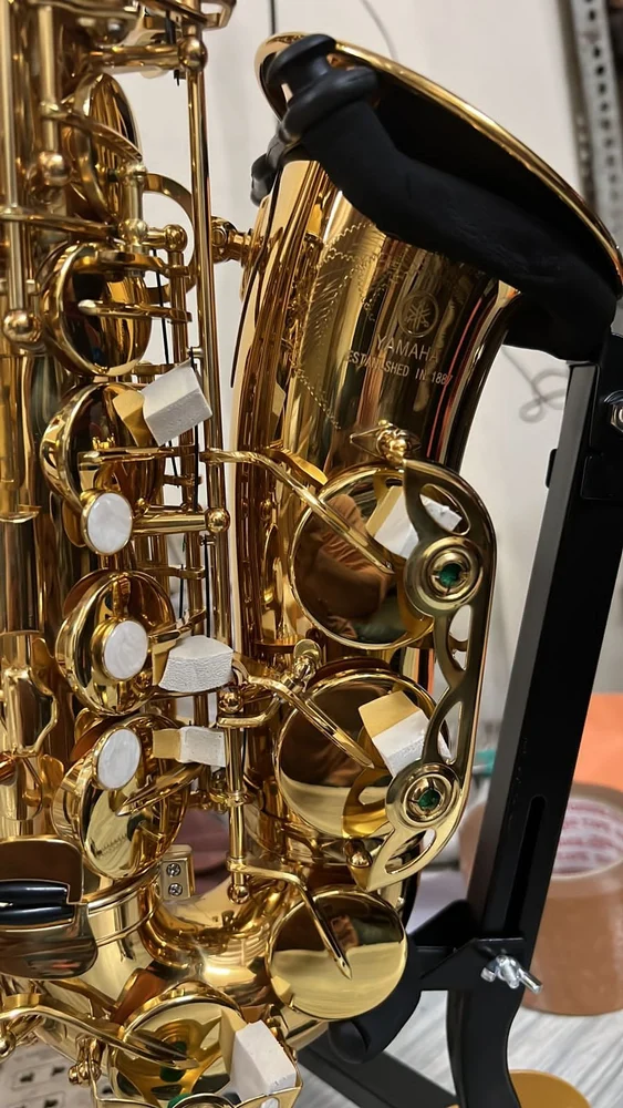 Saxophones category