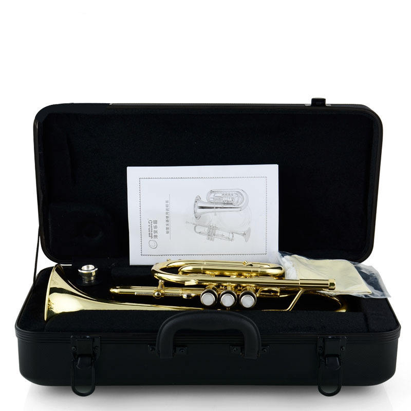 Jinbao Cornet – full view