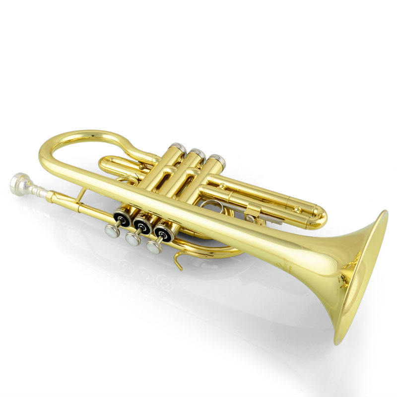 Jinbao Cornet thumbnail 3