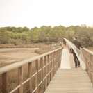 Share the Love Events wedding planner Porto-Vecchio