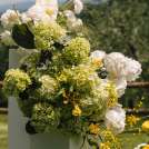 Sonya Aumis wedding planner Toulon