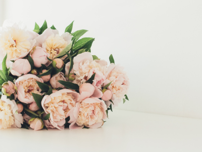 Photo de profil de melaine wedding