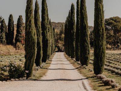 Photo de profil de La mariée en Provence