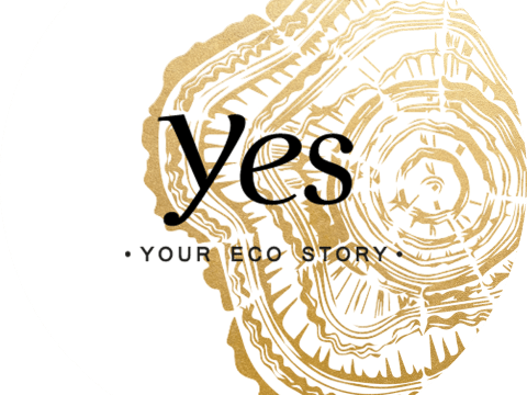 Organisateur de mariage Your Eco Story