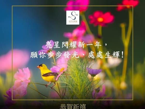 Shining Bright This Lunar New Year