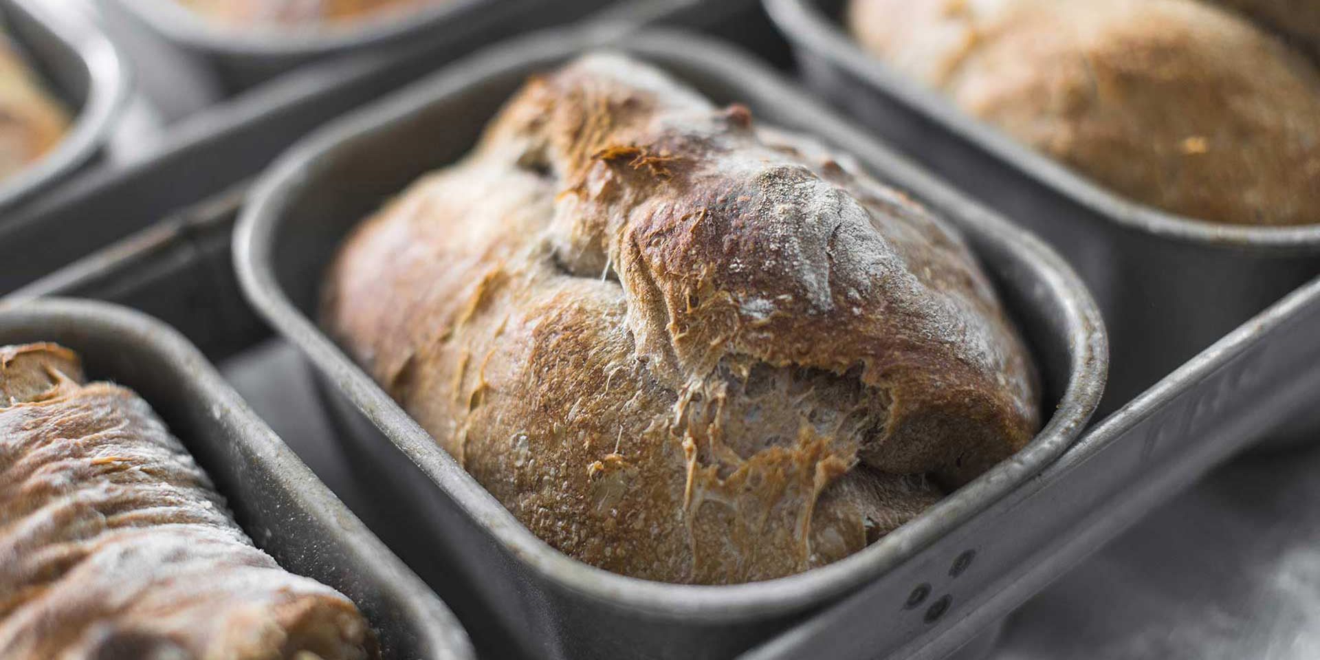 Gearys Craft Bakers, Brochure CMS website