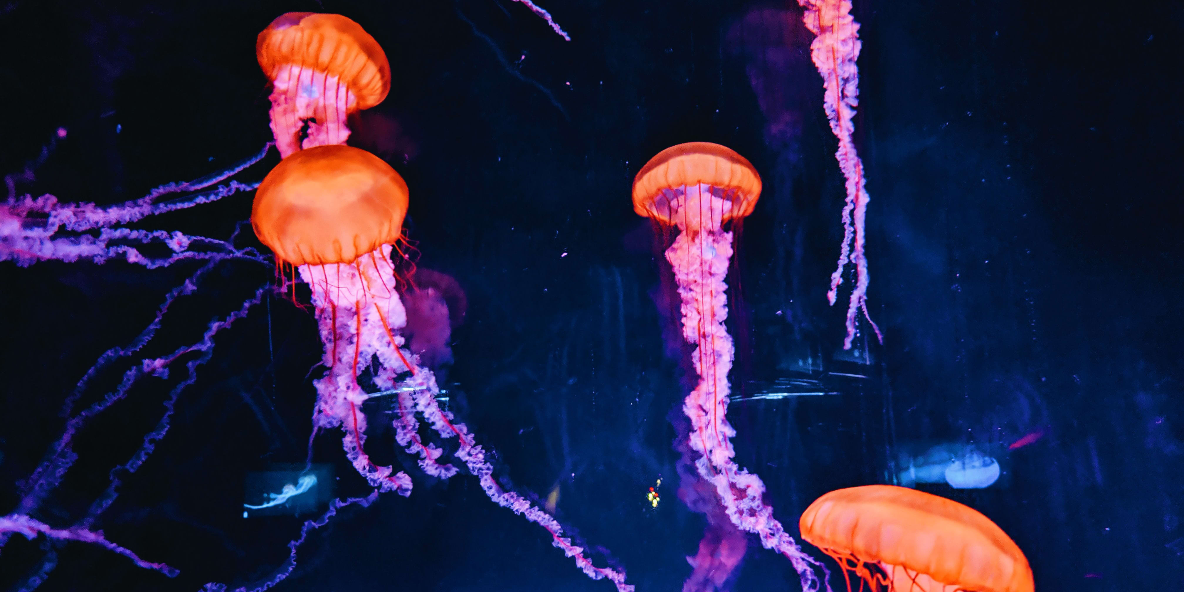 Website design trends we think you'll be seeing in 2023