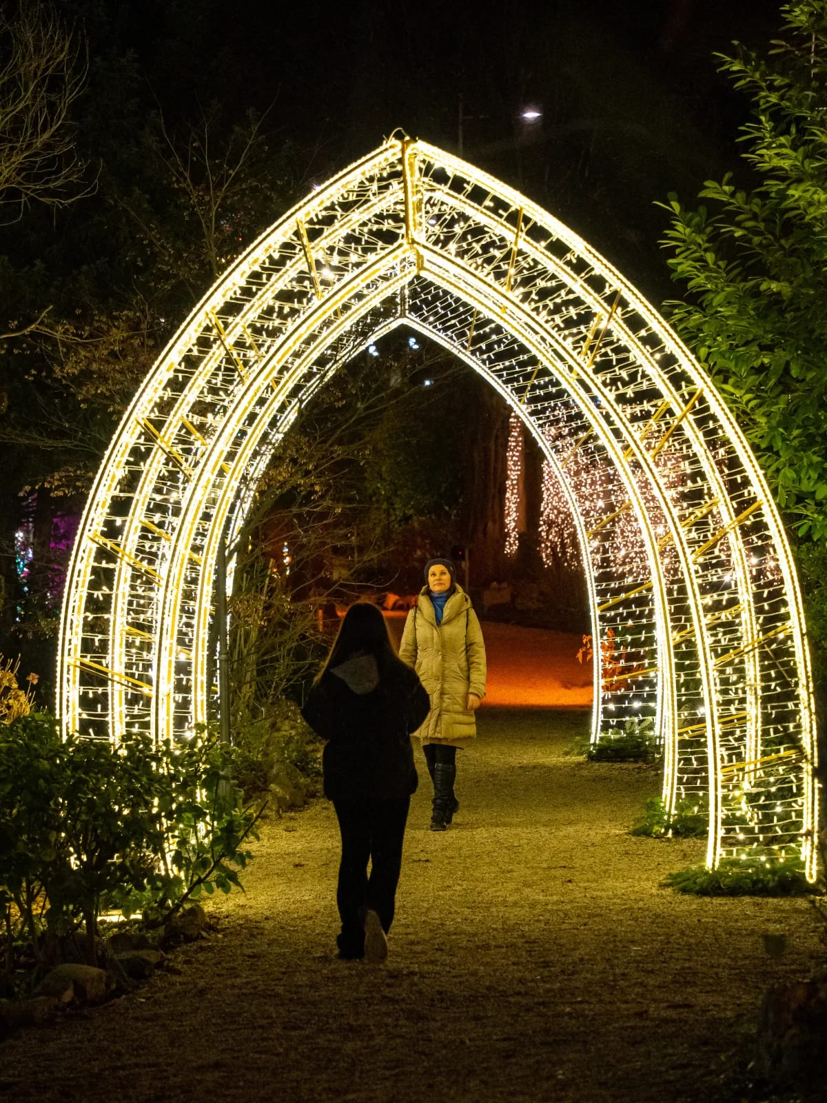 Lichterpark mit Objekten von Alganic