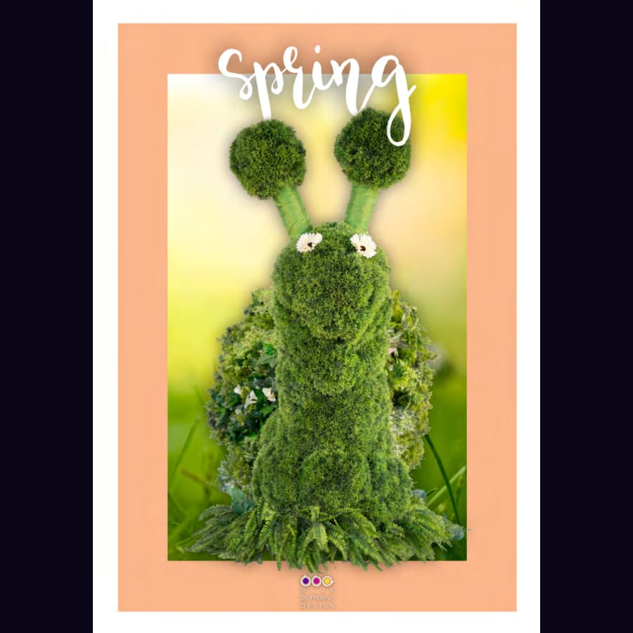 Titelseite des Hefts Spring