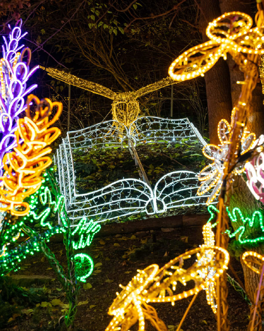 Lichterpark
