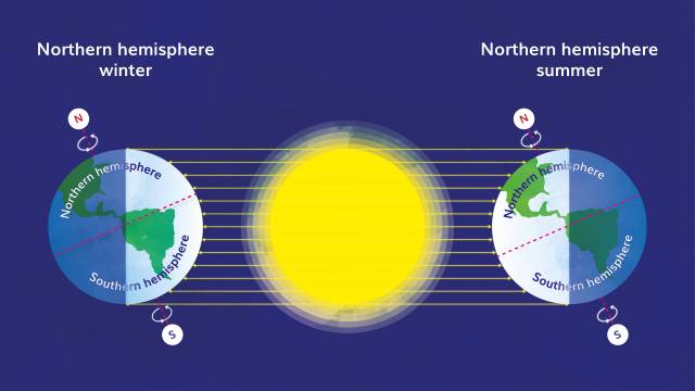 Student View Reachout Reporter