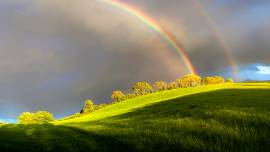 How are rainbows made?