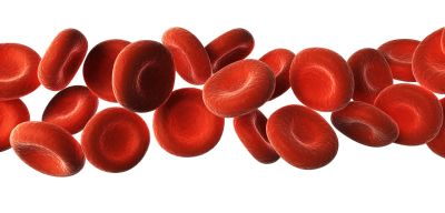 Flesh and Blood