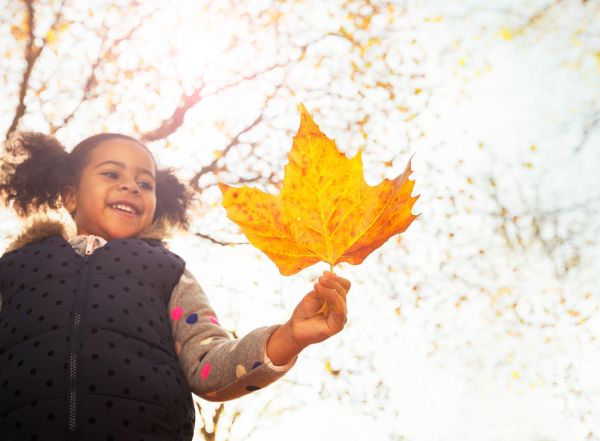 How does the amount of daylight vary between seasons?