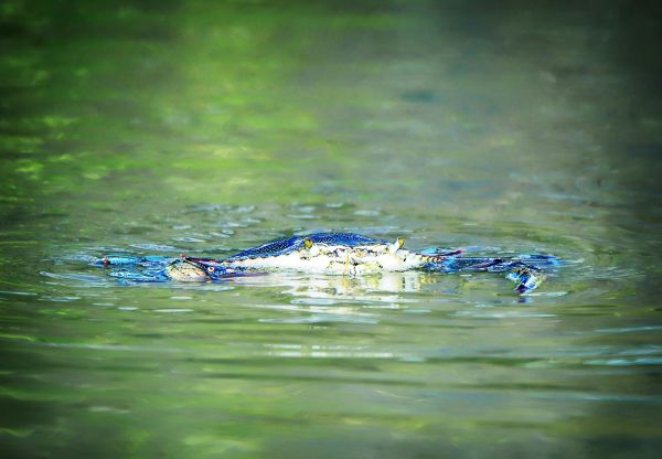 How do water and wind change landscapes?	