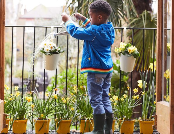 ¿Cómo podemos ayudar a que crezcan las plantas de nuestro jardín?