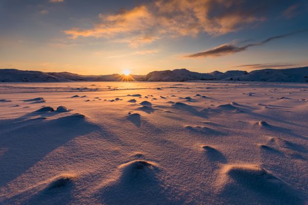 Resistir en la tundra