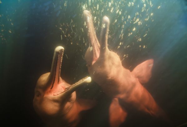 Water around the World