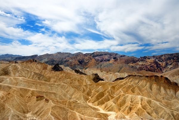 Exploring the Mojave