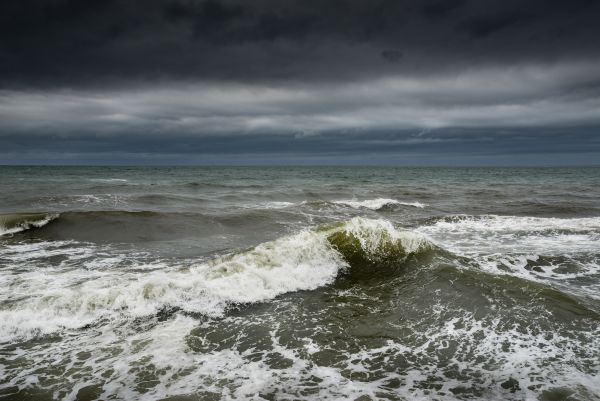 Salination Models