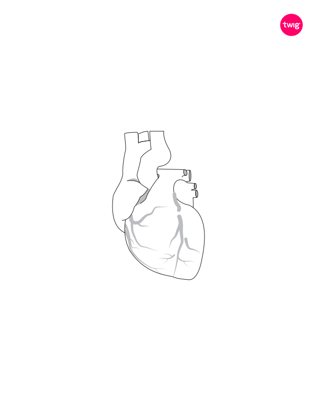 Heart cutout
